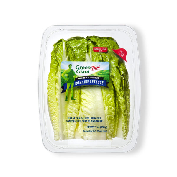 Green Cabbage