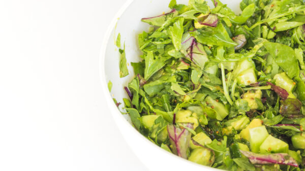 Vitalité Verte : roquette, avocat, pomme, graines de courge, vinaigrette gingembre