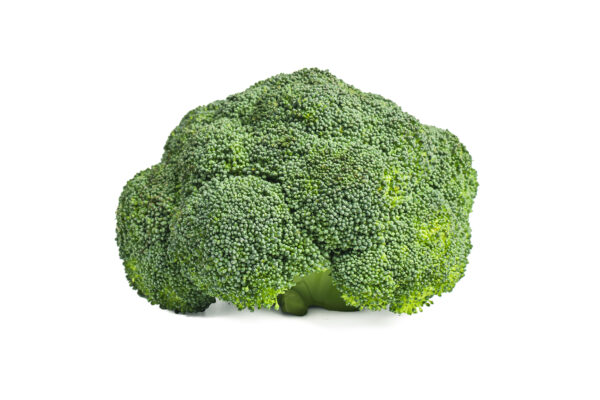 Brocoli vapeur